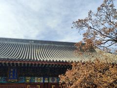 -香山公园