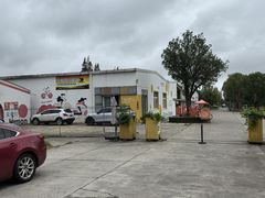 -前小桔亲子创意农场·草莓采摘·露营烧烤