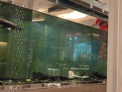 -衡山汇·高级粤菜(霄云路店)