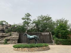 -静之湖度假区