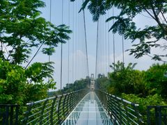 -南丹山森林王国