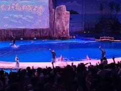 -华夏文旅海洋公园