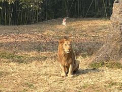 -杭州野生动物世界