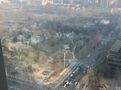 -君悦酒店·乐厨·高空自助餐(青年大街店)