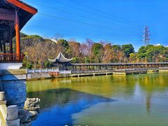 -八大山人梅湖景区