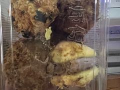 -鲍师傅糕点(台东步行街店)