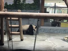 -西安秦岭野生动物园