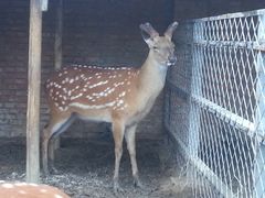 -意大利农场度假村