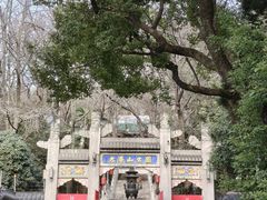 -九华山公园
