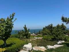 -养马岛旅游度假区