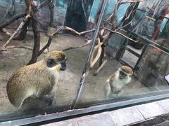 -无锡动物园·太湖欢乐园