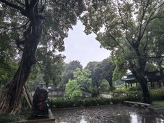-柳侯公园