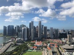 -新加坡瑞士史丹福酒店