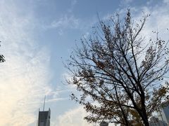 -西北湖绿化广场