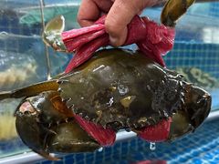 -喜记避风塘炒辣蟹(旗舰店)