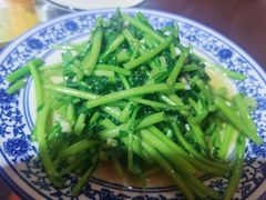 -范记靖远羊羔肉(博物馆店)