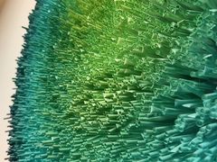 -梧桐人家中国太平国际健康颐养社区