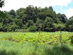 iphone_upload_pic-丹霞山风景名胜区