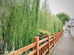 -三林塘老街