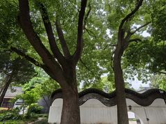 -松江清真寺