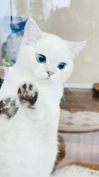-周周美学工作室