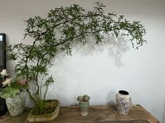 -铁炉咖啡(河下古镇店)