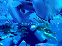 -太平洋海底世界