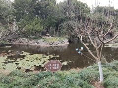 -叶家花园