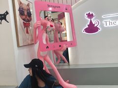 -糯米喵星人·撸猫猫舍咖啡馆(西市场嘉华店)