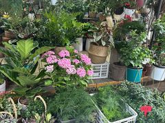 -循礼门鲜花花市(武汉循礼门店)