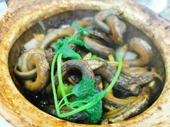 生焗黄鳝煲-台山美食一绝阿四台山黄鳝饭(阿四创作店)