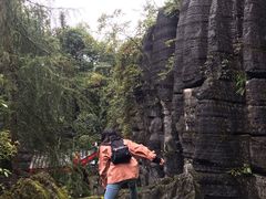 -梭布垭石林景区