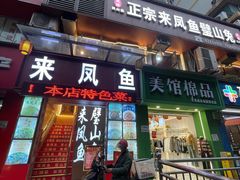 -正宗来凤鱼璧山兔(花卉园店)