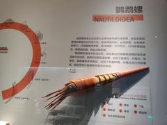 -湖南省地质博物馆