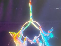 -灵玲国际马戏城
