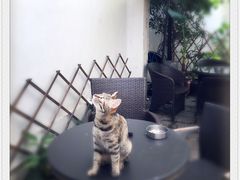 iphone_upload_pic-边渡咖啡烘焙店(昙华林店)