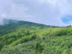 -秦岭风景区