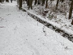 -武陵山森林公园