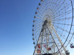 -琴岛之星摩天轮