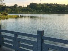 -东莞植物园
