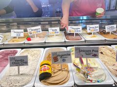 -Dooley's Premium Ice Cream