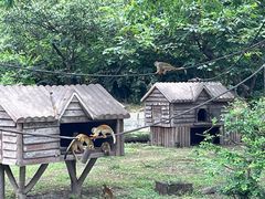 -上海野生动物园