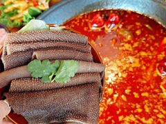 -蓉城老院十年老火锅(中南店)