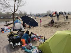 -东郊湿地公园