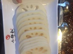 -小牛叔鲜切牛肉·火锅·烤肉自助(公济桥路店)