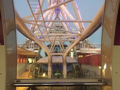 -墨尔本之星 观景摩天轮