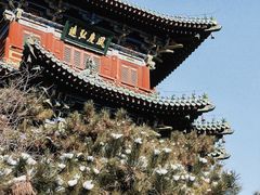 -迎泽公园