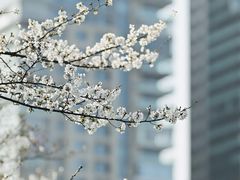 -西北湖绿化广场