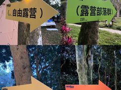 -南宁良凤江国家森林公园