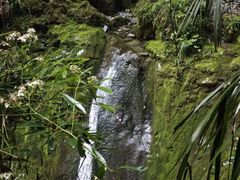 -鹿院坪生态旅游景区